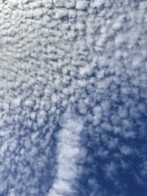 Dense cloudiness large cloud field from with white clouds Stratocumulus popularly sheep clouds