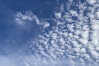 Top left white medium-height clouds Altocumulus floccus right Altocumulus stratiformis popularly