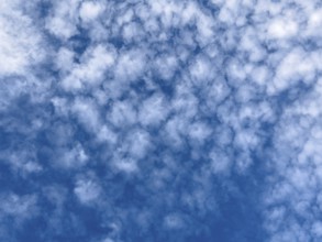 White medium-height clouds Altocumulus translucidus subspecies of altocumulus clouds popularly