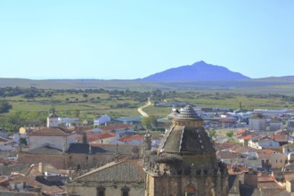 View of Torre del Alfiler tower with white stork and townscape of Trujillo, panoramic view of