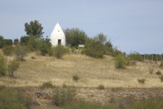 Landscape with trullo, vineyard houses, wine-growing region, wine culture, Flonheim, Rhine-Hesse