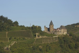 Stahleck Castle and vineyards, wine-growing region, Bacharach, Rhineland-Palatinate, UNESCO, Upper