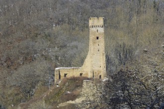 Phillipsburg, Monreal, Vulkaneifel, Eifel, Rhineland-Palatinate, Germany