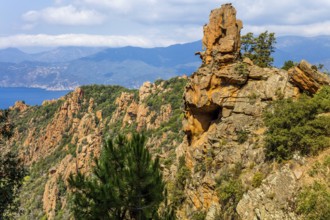 Calanche, bizarre rock formations 400 m above sea level, UNESCO World Heritage Site, Corsica,