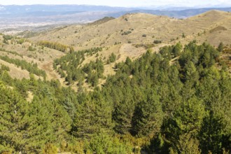 Countryside landscape view from Puerto de Sos hills south of Sos del Rey Catolico, Cinco Villas