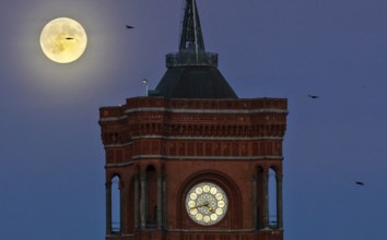 The brightest full moon of the year, Supermoon at the Red Town Hall, Berlin, 05.11.2025, Berlin,