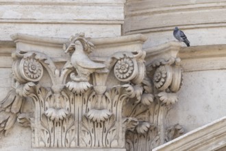 Feral dove (Columba livia) adult bird on a building with a peace dove bird sculture in the city of