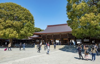 Meiji Jingu, Meiji Shrine, Shinto Shrine, Yoyogi Park, Shibuya, Tokyo