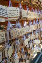 Ema, small wooden tablets with wishes and prayers, hung so that the Kami spirits or gods can