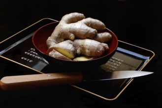 Ginger, ginger root in tea bowl, Zingiber officinale, tea preparation