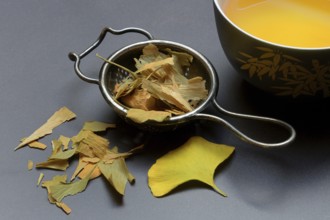 Ginkgo leaves in tea strainer and tea in bowl, ginkgo biloba
