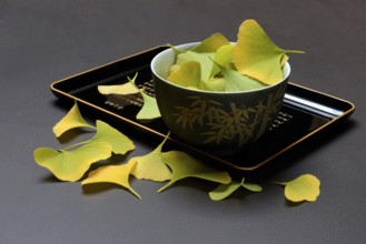 Ginkgo leaves in shell on tray, ginkgo biloba