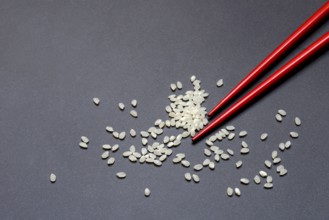 Rice and chopsticks, Oryza