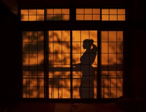 Shadows of a woman in kimono, on the balcony behind sliding shoji doors in a traditional Japanese