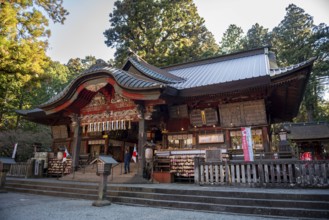 Shinto Shrine Buildings, Kitaguchi-hongu Fuji Sengen Shrine, Shinto Shrine in the Forest,
