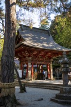Traditional ablution fountain, Shinto Shrine, Kitaguchi-hongu Fuji Sengen Shrine, Shinto shrine in