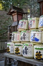 Colorful sake barrels at Shinto Shrine, Kitaguchi-hongu Fuji Sengen Shrine, Shinto Shrine in the