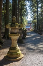 Toro stone lantern on a cedar alley with a view of Grand Torii Gate, Kitaguchi-hongu Fuji Sengen