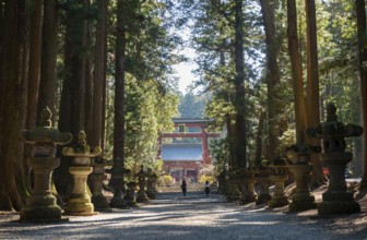 Cedar Alley and Toro Stone Lanterns with a View of Grand Torii Gate, Kitaguchi-hongu Fuji Sengen
