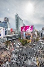 Modern houses with colorful neon signs and large road intersection, Shibuya Crossing from above,