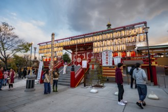 Shinobazunoike Bentendo Temple, at sunset, Shinobazu Pond, lakeside cherry blossoms in spring,
