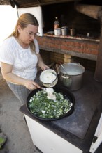 Serbian woman cooking przeno or traditional Serbian dish in her kitchen, Vrmdza, Sokobanja, Serbia