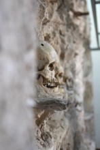 Skull in the Skull Tower or Cele Kula, Niš, Serbia