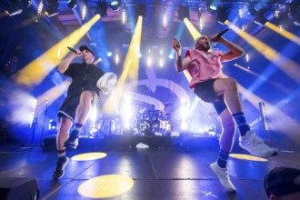 Carlito (Carlos Charlemoine) and Mal Élevé (Pablo Charlemoine), singers from Irie Révoltés live on