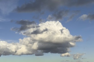 Large Cumulus calvus cloud in the middle of the picture, above right back below Cumulus fractus,