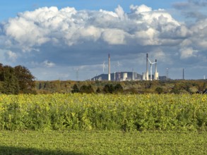 Symboldild with clouds Cumulus calvus for wind energy at the top, Uniper power plant with fossil