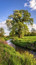 A serene landscape featuring a large tree by a stream at sunset with vibrant green grass and