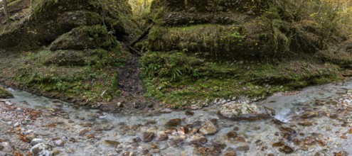 Stream in autumn, Gams, Styria, Austria