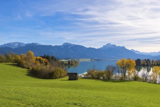 Landscape with green meadow, Forggensee and mountains, surrounded by autumn trees, near Roßhaupten,