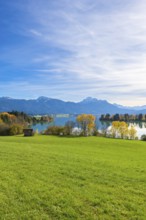 Wide landscape with green meadow, Forggensee, surrounded by mountains and autumn trees, near
