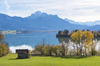 Idyllic Forggensee with mountain landscape, autumn colors, small house, near Roßhaupten, Ostallgäu,