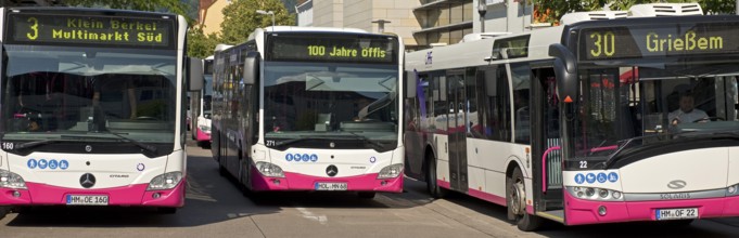 Many buses at the bus station, public transport in Hameln-Pyrmont, public transport Hameln-Pyrmont,