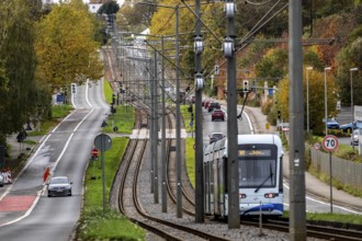 Bogestra tramway, line 305, on the Wattenscheider Hellweg, tram line in the middle of the street,