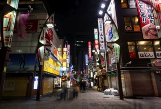 Pedestrian street with neon sign, long exposure, street scene at night, Tokyo, Japan