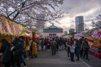 Food stalls with Japanese food, cherry blossom in spring, Hanami Festival, Ueno Park, Taito City,