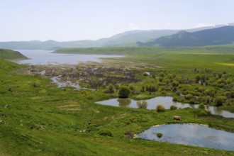 Wide landscape with wetlands and plants, surrounded by green hills and mountains, in the background