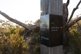 Guide on the trail to the cliffs of Cape Raoul in Tasmania. Cape Hauy, Tasman Peninsula, Tasmania,