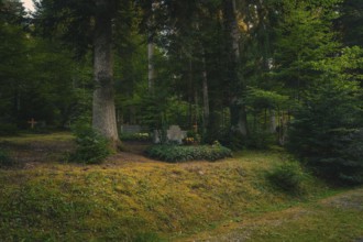 Lonely cemetery in deep forest with a grave surrounded by tall vegetation and trees, Altensteig,