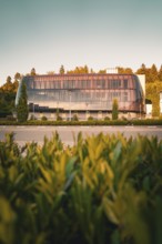 Glass façade of a modern building surrounded by trees in warm sunlight, green leaves foreground,