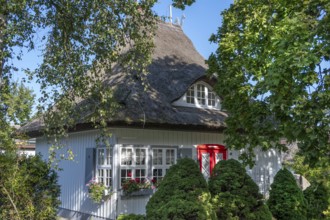 Residential house with thatched roof, Ahrenshoop, Darß, Mecklenburg-Western Pomerania, Germany