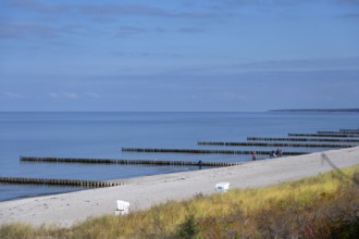 View of the Baltic Sea with groves and beach, Ahrenshoop, Darß, Mecklenburg-Western Pomerania,