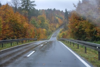 Mixed forest in autumn colors in Franconia on the B2 Nuremberg-Bayreuth, Upper Franconia, Bavaria,