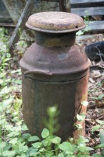 Rusted American milk can around 1900, deposited in a wooded area, Marksboro, New Jersey, USA