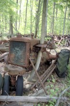 Rusted American Allis-Chalmers tractor around 1900, crossed by a tree, dumped in a wooded area,