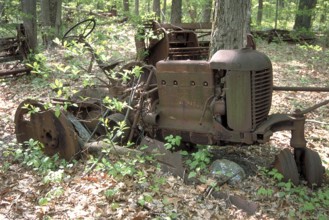 Rusted American tractor around 1900, crossed by a tree, dumped in a wooded area, Marksboro, New