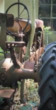 Tree grows due to a rusted tractor in a car cemetery in a forest, Marksboro, New Jersey, USA